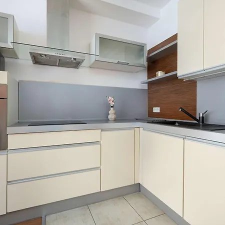 شقة Spacious With Underground Parking And Terrace By Renters كاتوفيتسه